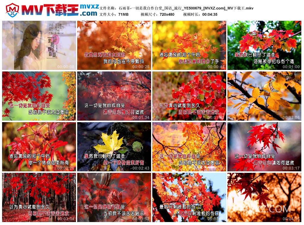 石雨菲-一切是我自作自受_国语_流行_YE500679